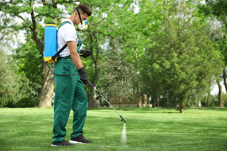 Commercial Weed Control