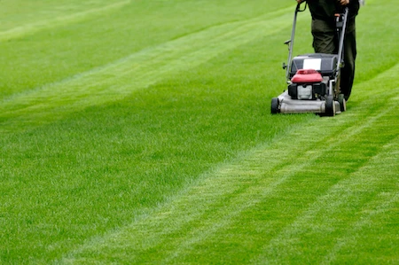 Residential Lawn Mowing