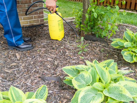 Residential Weed Control